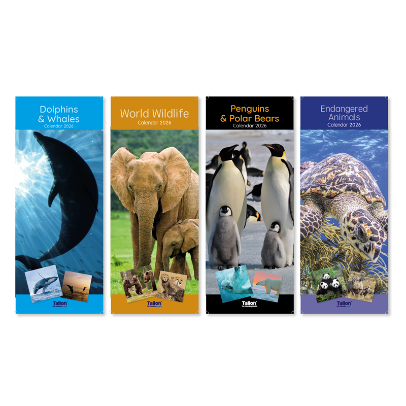 Super Slim Calendar: Dolphins, End. Animals, Penguins & Wildlife