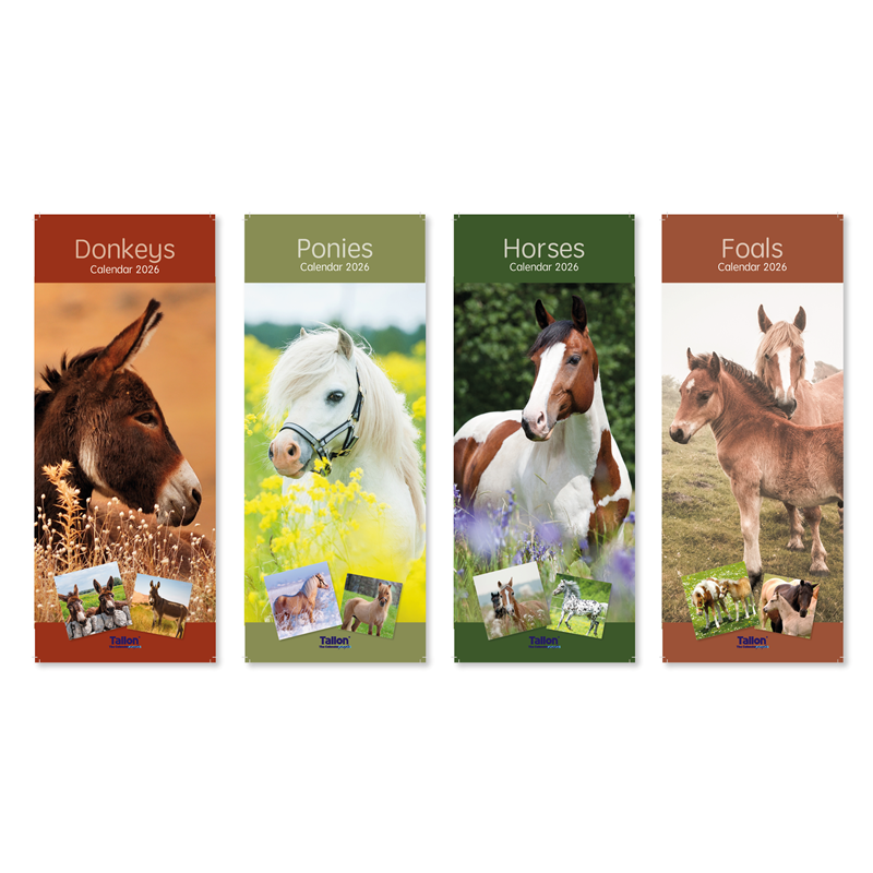 Super Slim Calendar: Donkey, Foal, Horse & Ponies