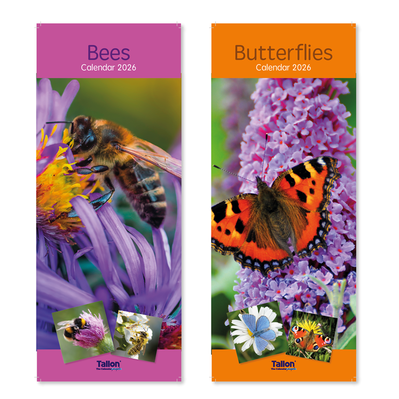 Super Slim Calendar: Bees & Butterflies