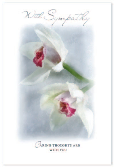 Sympathy Assortment