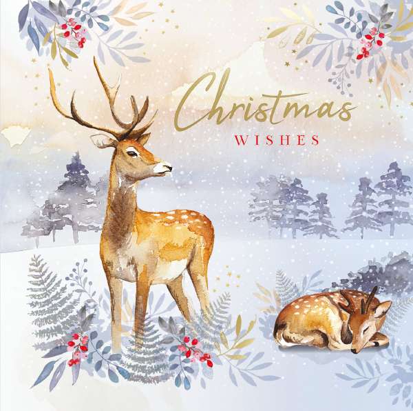 12 Premium Noel Tatt Cards - Snowy Reindeer