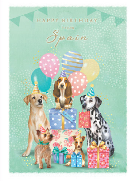 Happy Birthday From Spain