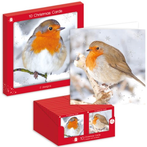 10 Square Cards - Photographic Robins