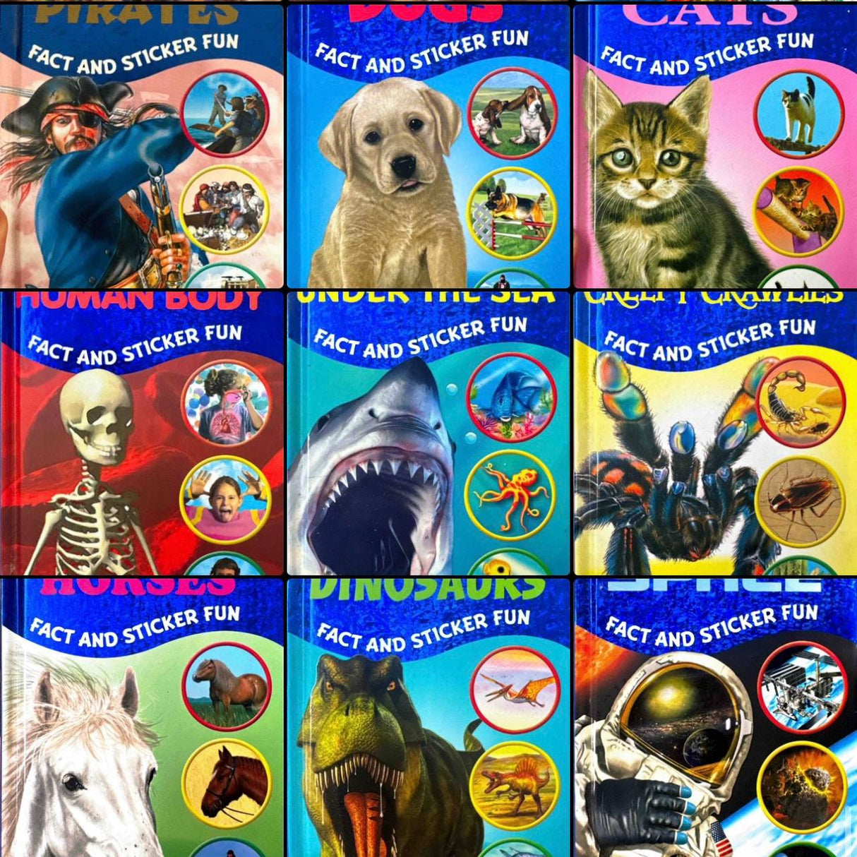 Fact and Sticker Book