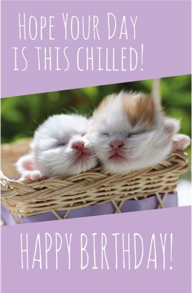 Open Birthday