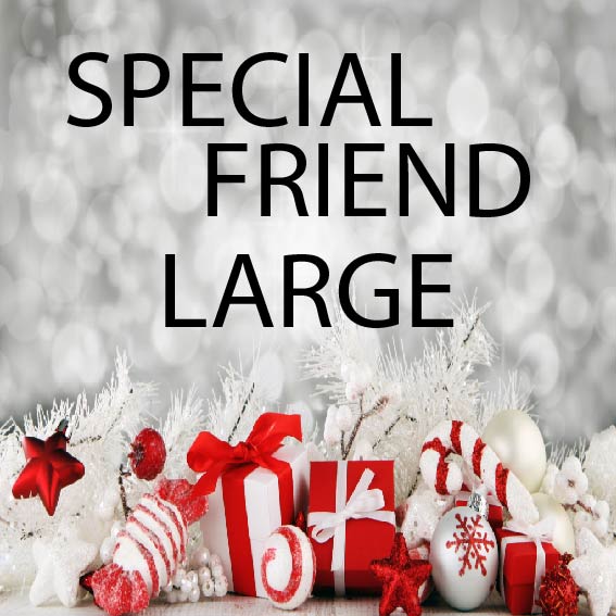 Special Friend Large