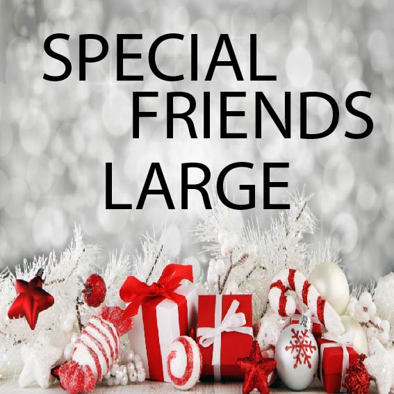 Special Friends Large