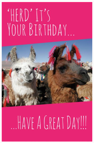 Open Birthday