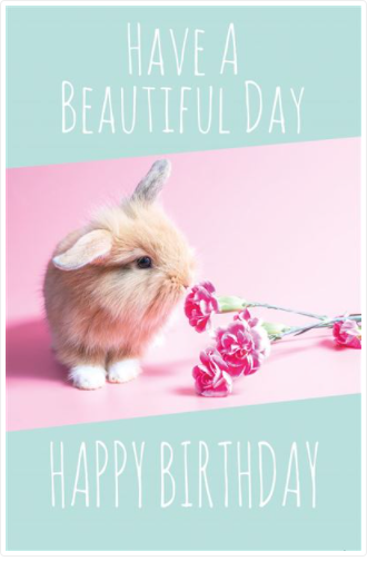 Open Birthday