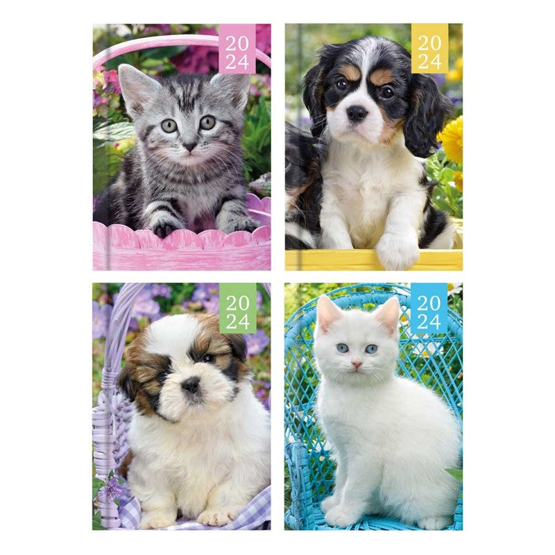 2024 Photographic Kittens & Puppies Pocket Diary