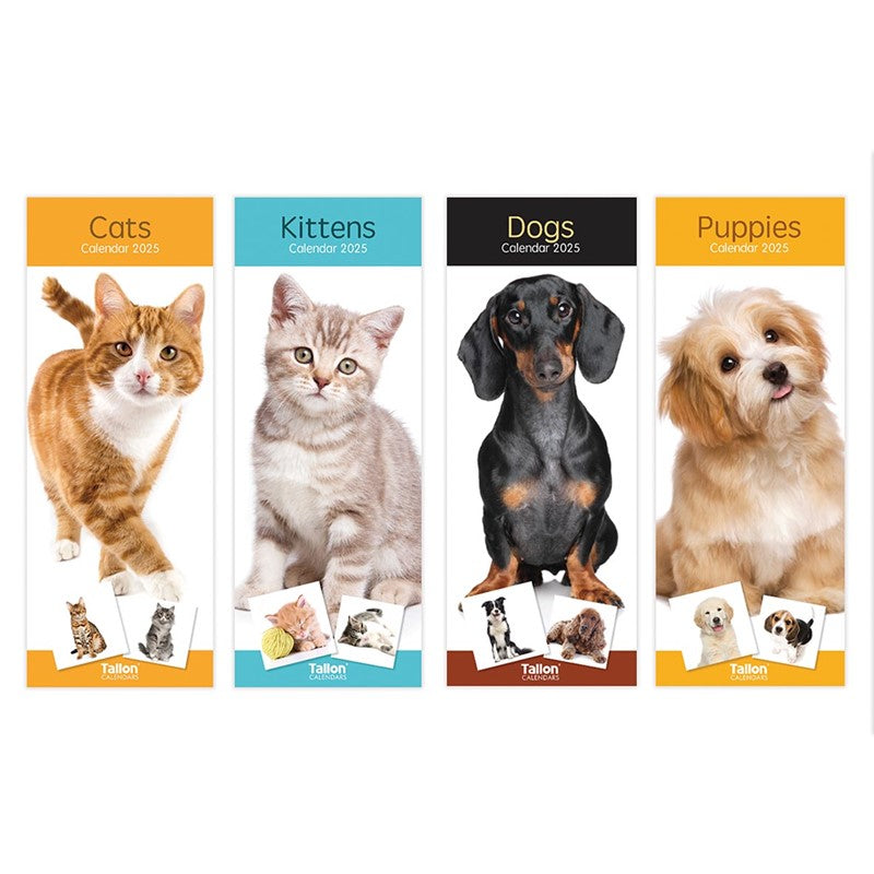 Super Slim Dogs, Cats, Kittens & Puppies Calendar