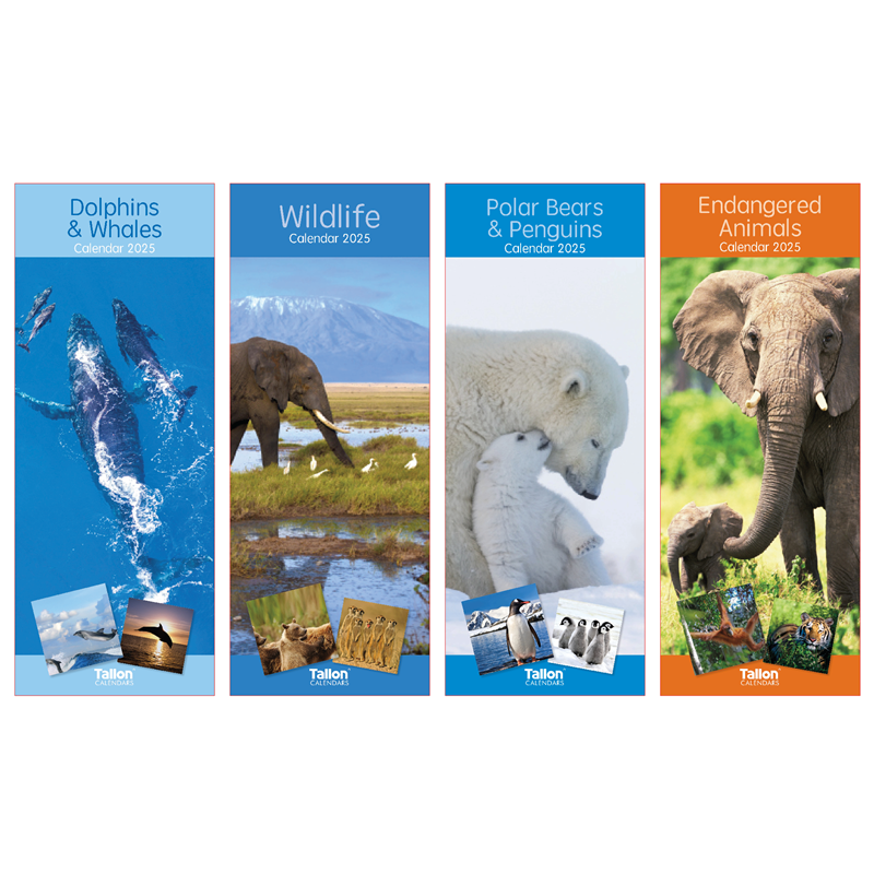 Super Slim Dolphins, Wildlife , Polar Bears , Endangered Animals Calendar