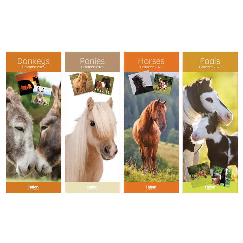 Super Slim Donkeys, Foals, Horses, Ponies Calendar