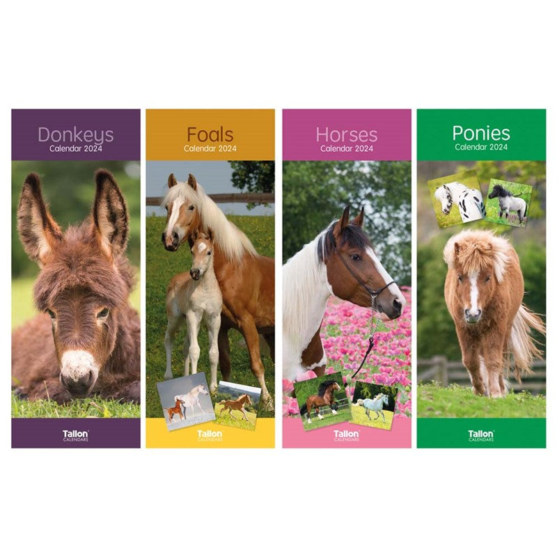 2024 Donkeys, Foals, Horses & Ponies Super-Slim Calendar