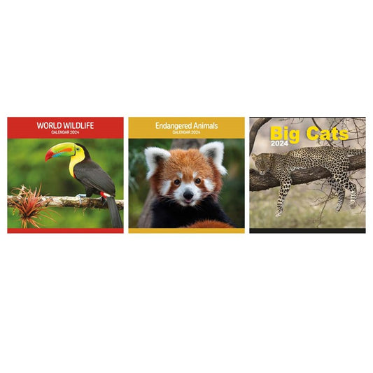 2024 Big Cats, Animals & Wildlife Square Calendar