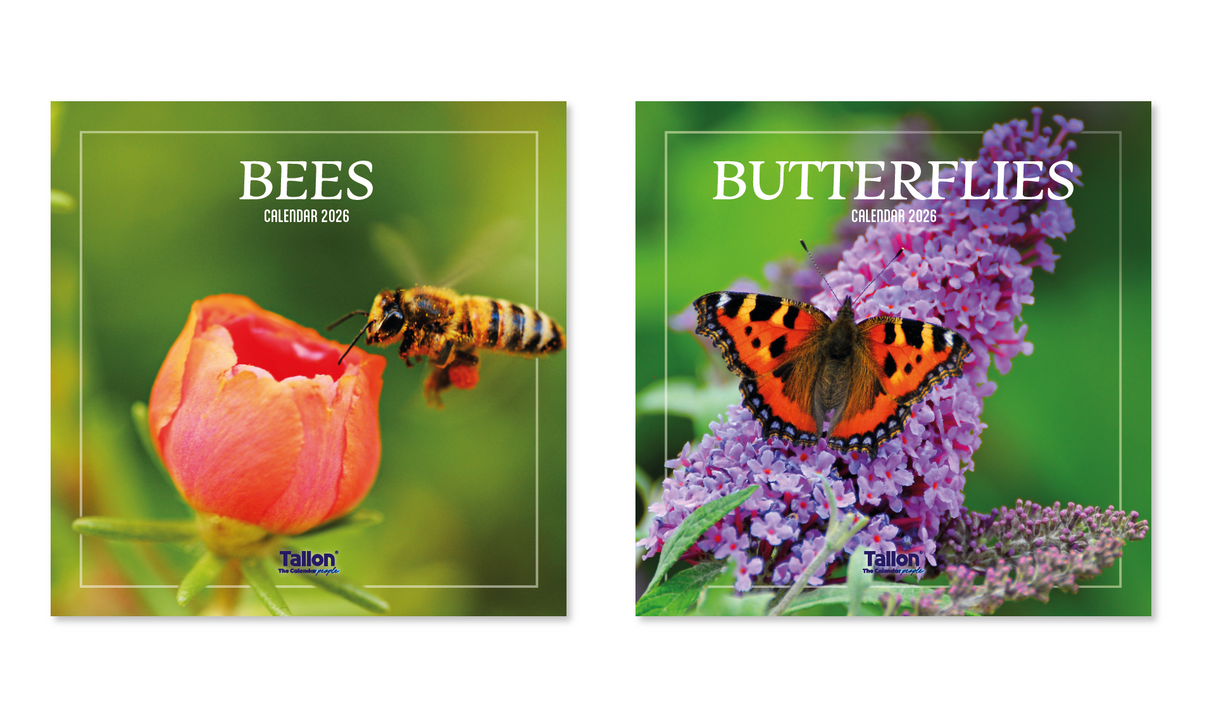 Square Calendar: Bees & Butterflies
