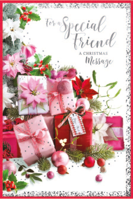 Special Friend