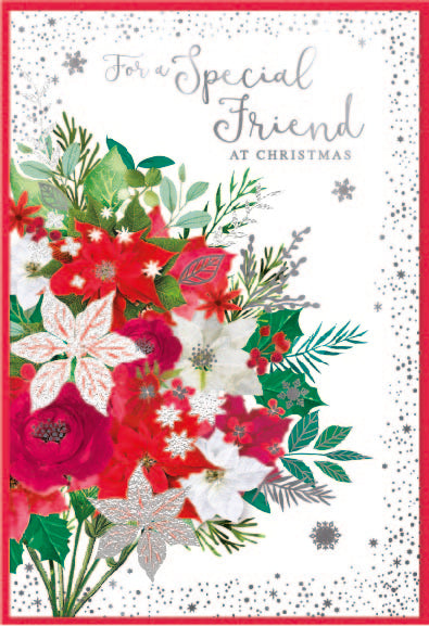Special Friend