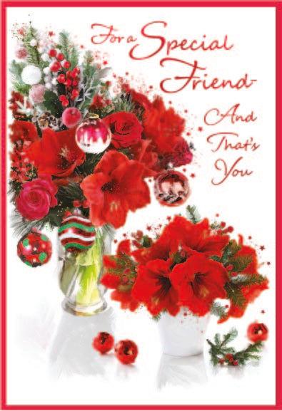 Special Friend