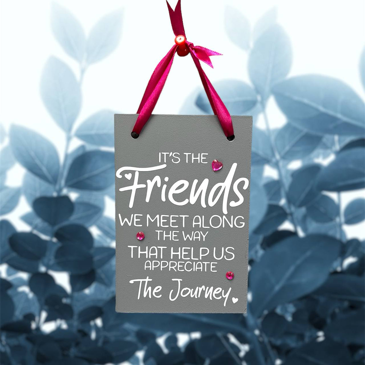 Friends - The Journey