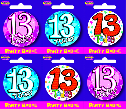 Age 13 Small Badges x6
