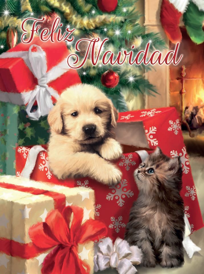 Feliz Navidad: Cat & Dog