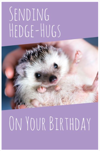 Open Birthday