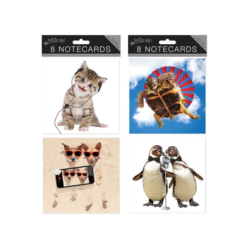 8 Square Notecards: Crazy Animals
